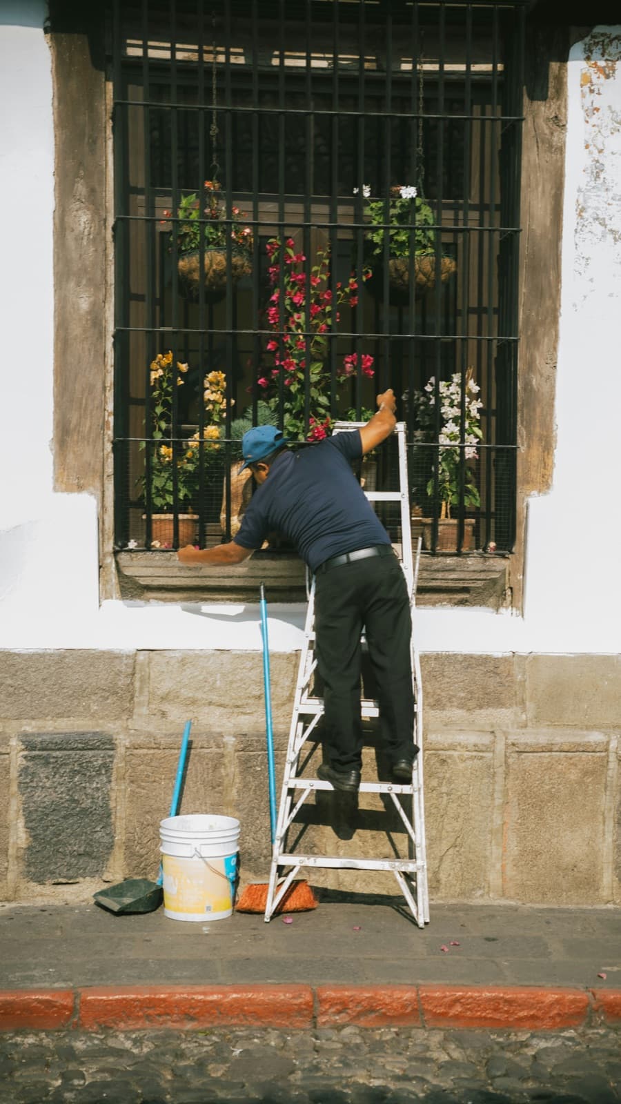 Vecino arreglando las flores de la ventana en una calle colonial